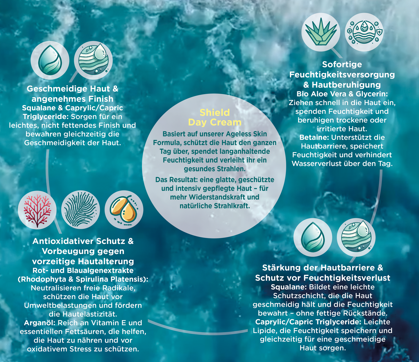 Rhodophyta Aloe Vera Shield Day Cream