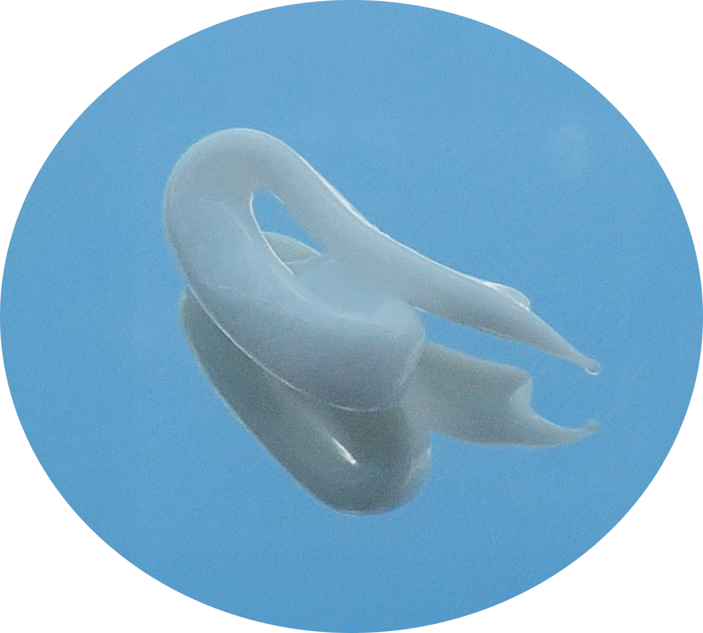 Rhodophyta Spirulina Hydrasafe Night Cream