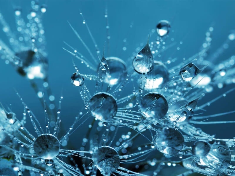 Astaxanthin Hyaluron Anytime Hydra Spray