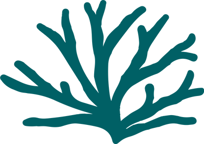 Rhodophyta Spirulina Hydrasafe Night Cream