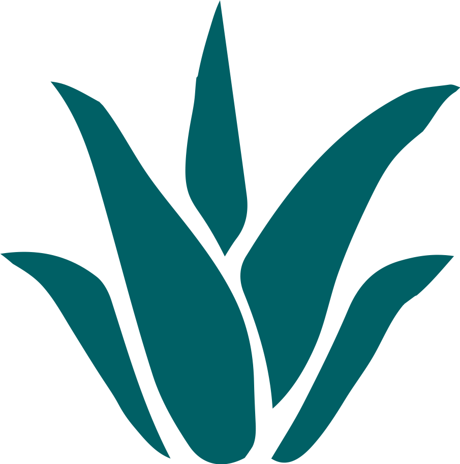 Rhodophyta Spirulina Hydrasafe Night Cream