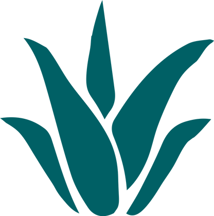 Rhodophyta Spirulina Hydrasafe Night Cream