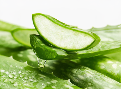 Rhodophyta Aloe Vera Balancing Face Wash